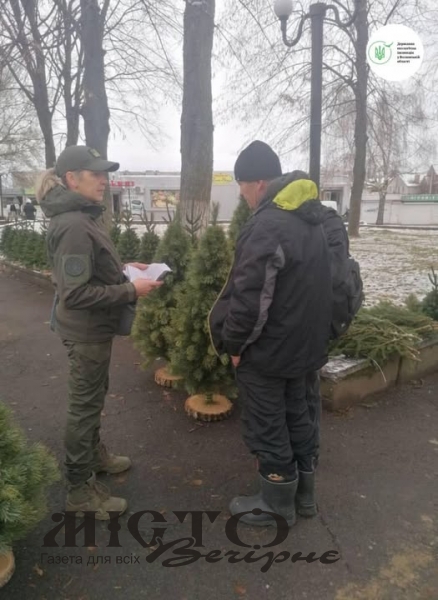 У Нововолинську виявили порушника продажу новорічних дерев 