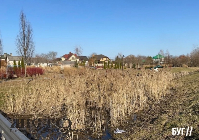 Риловиця заростає: очищення річки у Володимирі досі не проведене 