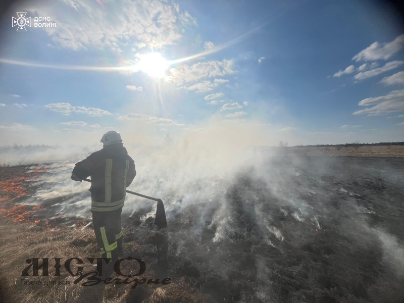 На Волині за добу загасили понад 14 гектарів вогню в екосистемах 