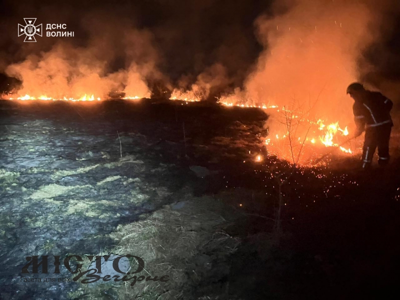 Поблизу Устилуга вогонь знищив гектар сухостою 