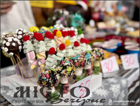 У Нововолинських ліцеях протягом тижня проводили благодійні ярмарки зібрали 411 тисяч гривень 