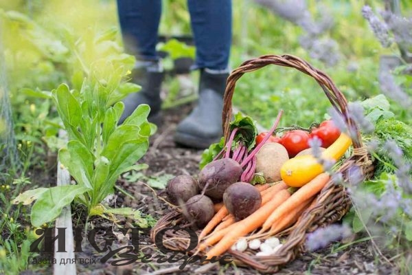 Всеукраїнська асоціація громад та USAID АГРО запрошують до флешмобу “Врожай нескорених” 