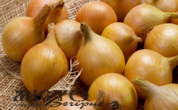 На українському ринку за тиждень суттєво подешевшала цибуля 