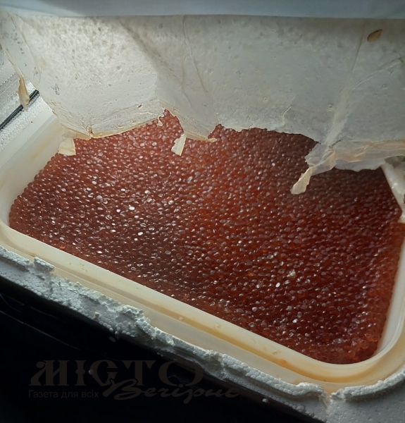 Майже 100 кг ікри з Росії: в «Устилузі» затримали українця з контрабандою на 170 тисяч гривень 