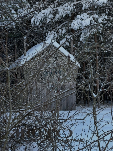 Урочище Вовчак на Турійщині вкрилось білою ковдрою 