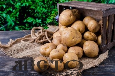 Картопля знову дорожчає: що відбувається на ринку 