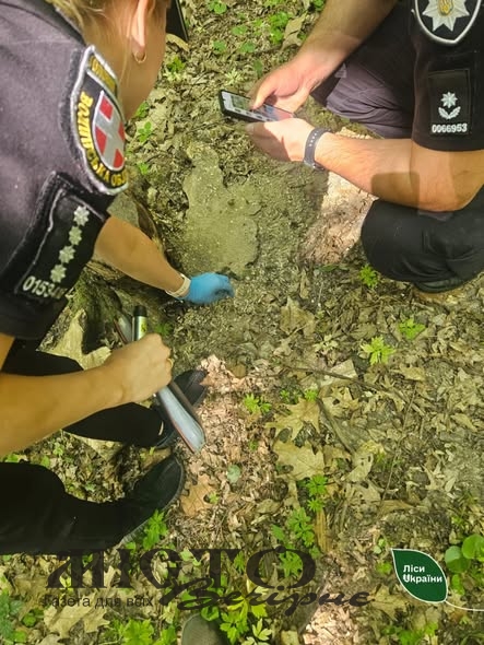 Понад 205 тисяч гривень збитків: на Волині затримали чоловіка, який незаконно рубав дерева в заказнику - новини Володимир-Водинського Понад 205 тисяч гривень збитків: на Волині затримали чоловіка, який незаконно рубав дерева в заказнику