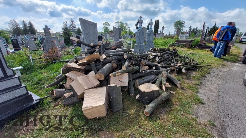 Зрізають дерева на Лодомирському кладовищі 