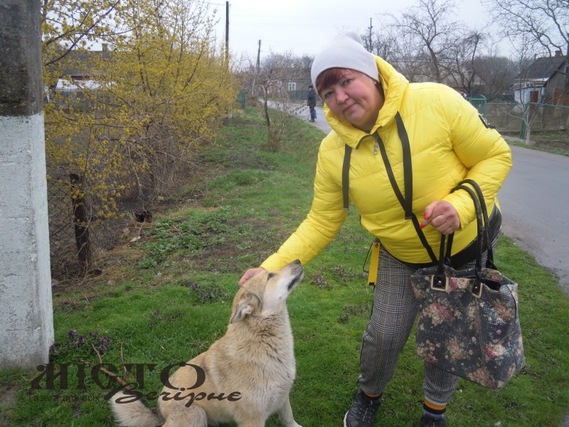 Світлана Віданова з однією із улюблениць – Ліндою.