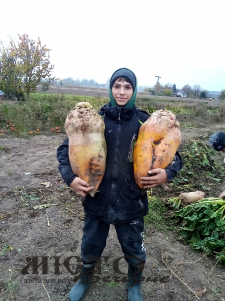 Україна вистоїть з такими українцями, переможе, а згодом стане найбагатшою країною світу 