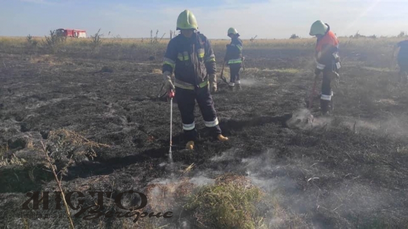 У Локачах покарають чоловіка, який спалив 7 гектарів сухої трави 