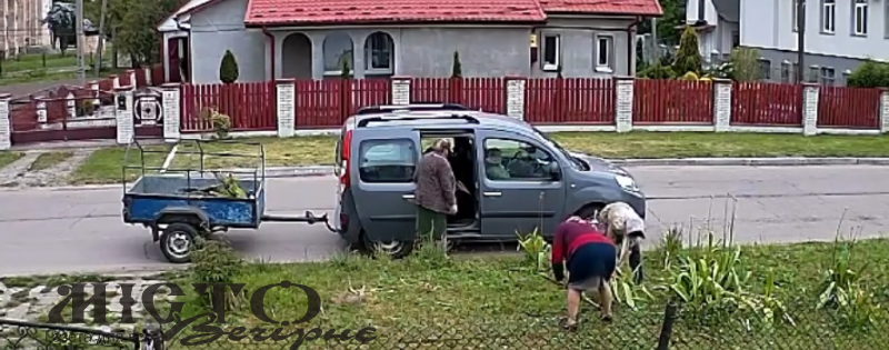У центрі Іванич пенсіонерки вкрали квіти з приватної клумби 