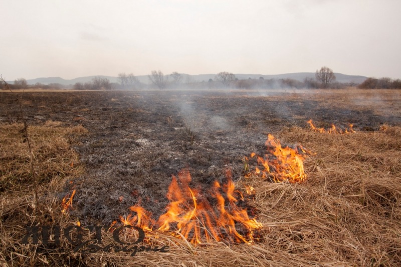 В Іваничах рятувальники ліквідували горіння сухої трави 