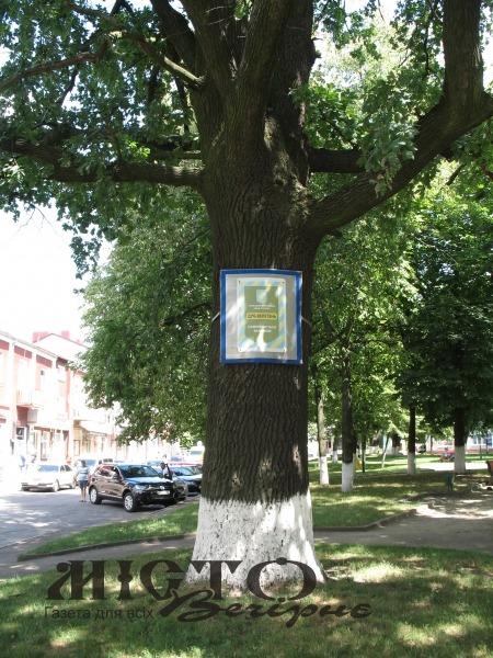 ІСТОРІЇ ЗАКОХАНИХ СЕРДЕЦЬ 