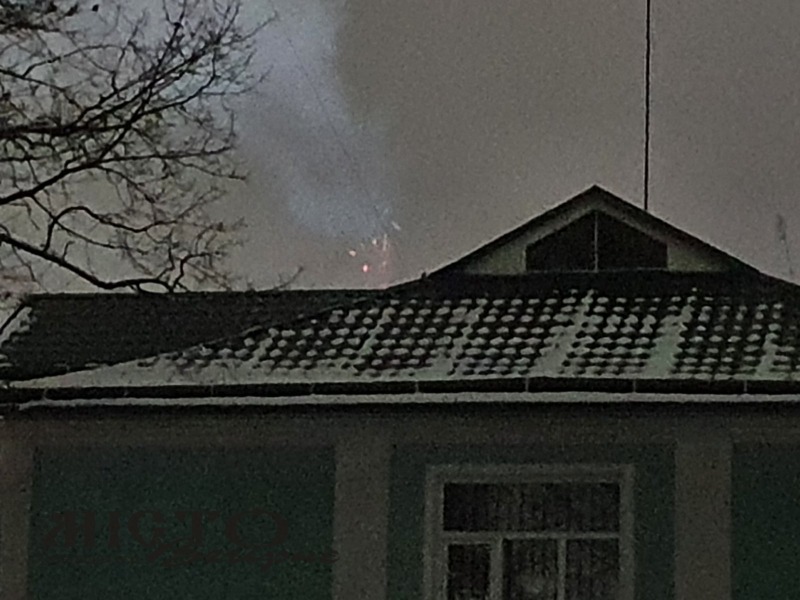 У лісгоспі сталася пожежа 
