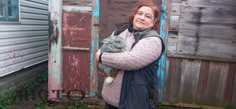 «Оскільки нам обіцяли розвиток місцевого підприємства, хочу відкрити виробництво домашніх салатів, але…» 