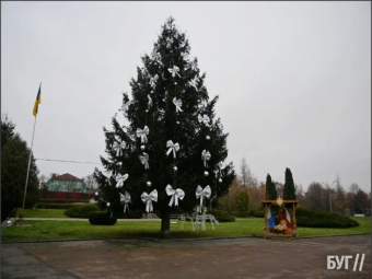 У Володимирі прикрасили головну ялинку міста 
