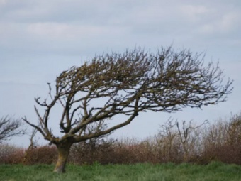 Волинян попереджають про жовтий та помаранчевий рівні небезпеки 