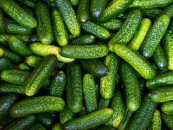 Ціни на огірки невпинно зростають, теплиці підняли вартість через дефіцит 