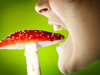 У Володимирському районі 10-річний хлопець отруївся грибами 