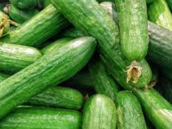 В Україні різко подорожчали тепличні огірки 