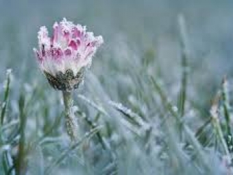 Вночі у Львові зафіксували аномалію 