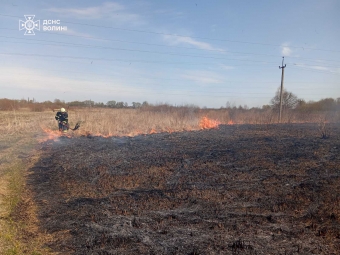 Через підпали на Волині за добу вигоріло понад 12 гектарів сухостою 