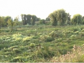 В Оваднівській громаді через недобросовісного фермера, 26 гектарів землі заросли чагарниками 