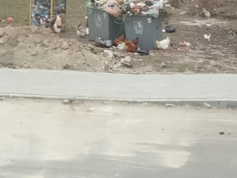 Устилузька громада потопає у смітті, яке не вивозять уже кілька тижнів 