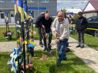 У Затурцях на Алеї слави та памʼяті висадили туї 
