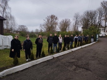 Озеленення території: у Привітненському ліцеї садили туї 
