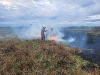 На Волині за добу сталося 13 пожеж в екосистемах 