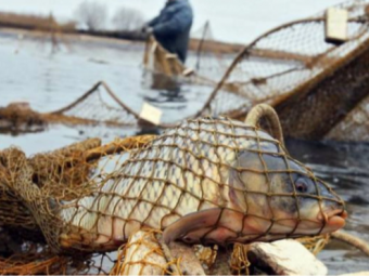 Медсестра з Луцька незаконно ловила рибу на Іваничівській громаді 