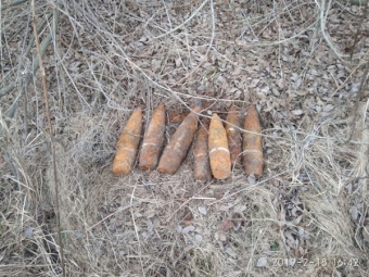 У Володимир-Волинському районі знайшли та знешкодили артилерійські снаряди часів Другої світової війни 