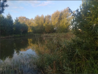 У Зимному віддають в оренду водойму на 10 років 