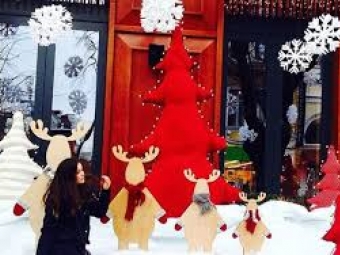 Володимирців запрошують до участі в конкурсі новорічно-різдвяних композицій «Зимова феєрія» 