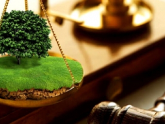 У Володимирі пенсіонера оштрафували за самовільне засівання землі громади 