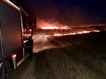 На Волині за добу ліквідували сім пожеж сухої трави та чагарників 