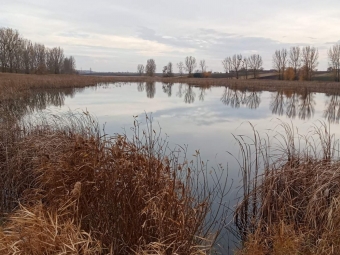 Павлівська громада на сім років віддає в оренду ставок 