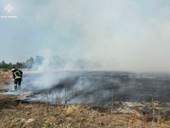 Горіла суха трава, чагарники, торф: рятувальники Волині ліквідували сім пожеж на відкритих територіях 