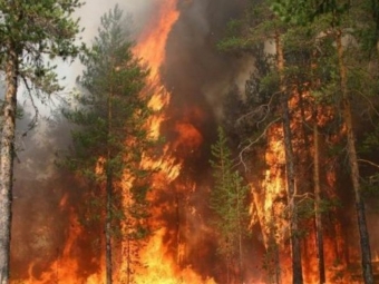 За вчинення лісової пожежі в Оваднівській громаді чоловік заплатить штраф 