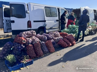 У Нововолинську відбувся осінній ярмарок 