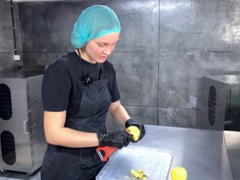 У Локачинській громаді подружжя виграло грант від держави і виготовляють фріпси та пастилу 