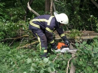 Сильний вітер повалив дерева та пошкодив дах багатоповерхівки у Володимирі й Поромівській громаді 