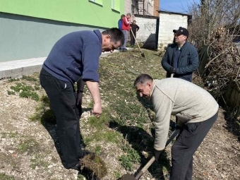 У Локачах висадили понад 300 саджанців молодих дерев 