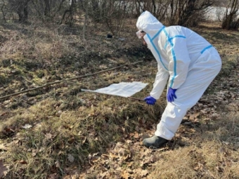 На Волині 68 людей постраждали від укусів кліщів 