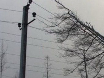 Шквальний вітер залишив без світла 300 населених пунктів на Волині 