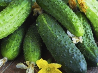 В Україні стрімко знижуються ціни на тепличні огірки 