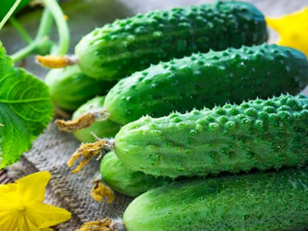 В Україні різко злетіли ціни на огірки 