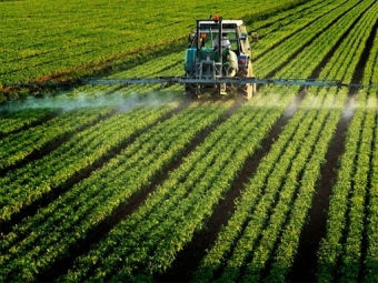 Пасічників Володимир-Волинського району попереджають про пестицидну обробку полів 